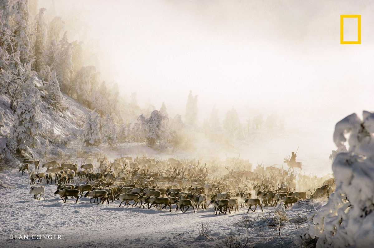 National Geographic tweet media