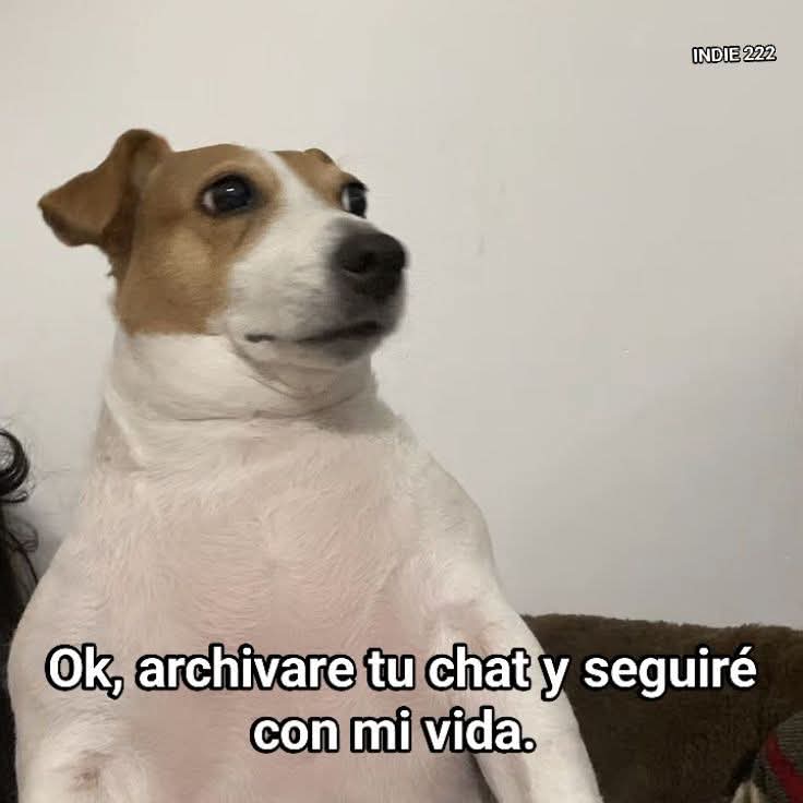 Animalesaprieto's tweet image. 