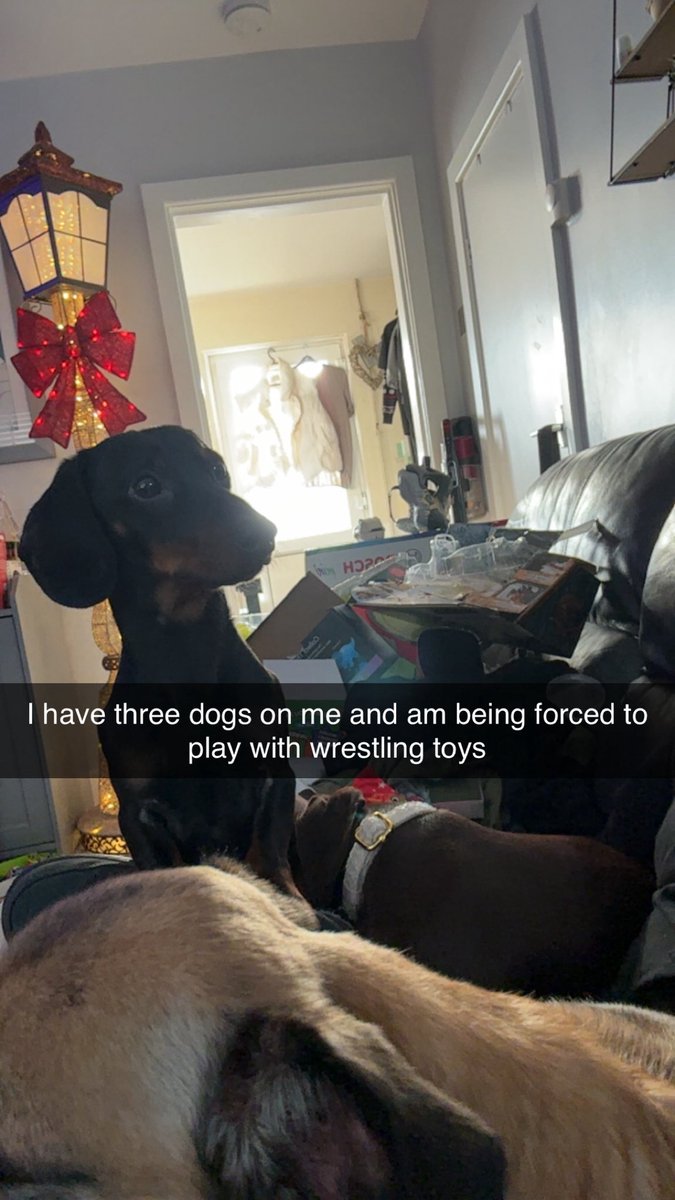 BattyEnit's tweet image. Merry Christmas