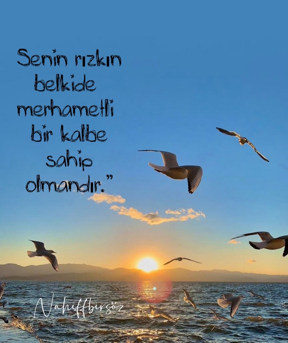 Monna Rosa (@ayaserenat) on Twitter photo 