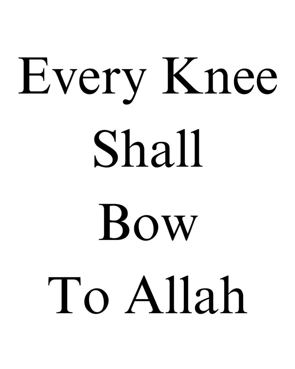 Halal Nation ☪︎ tweet media