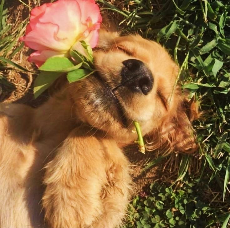 I love you, my baby sister. tweet media