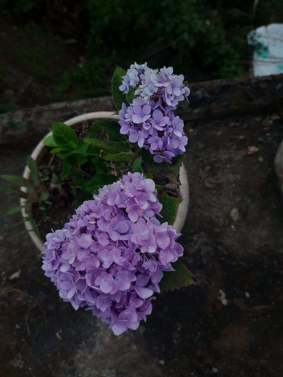 "भयो नलगाउ धाक तिम्रो खोक्रो आर्दश को , याद गर जति नै भुके पनि उस्काएको कुकुर ले मृग मार्न सक्दैन .."
#श्री ~इरा🌼