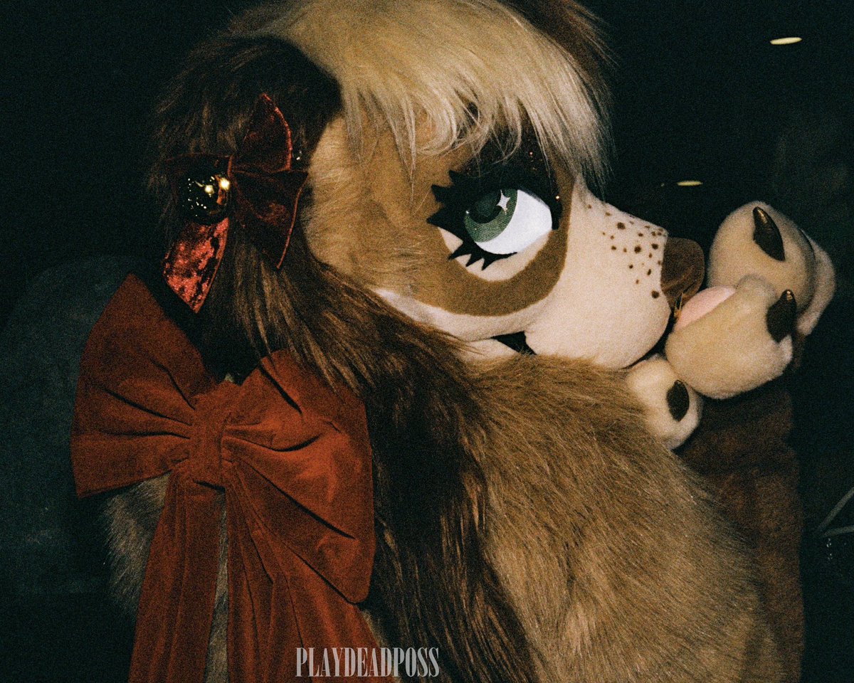 Aster 𐂂 ✮⋆˙ 🔜 FWA tweet media