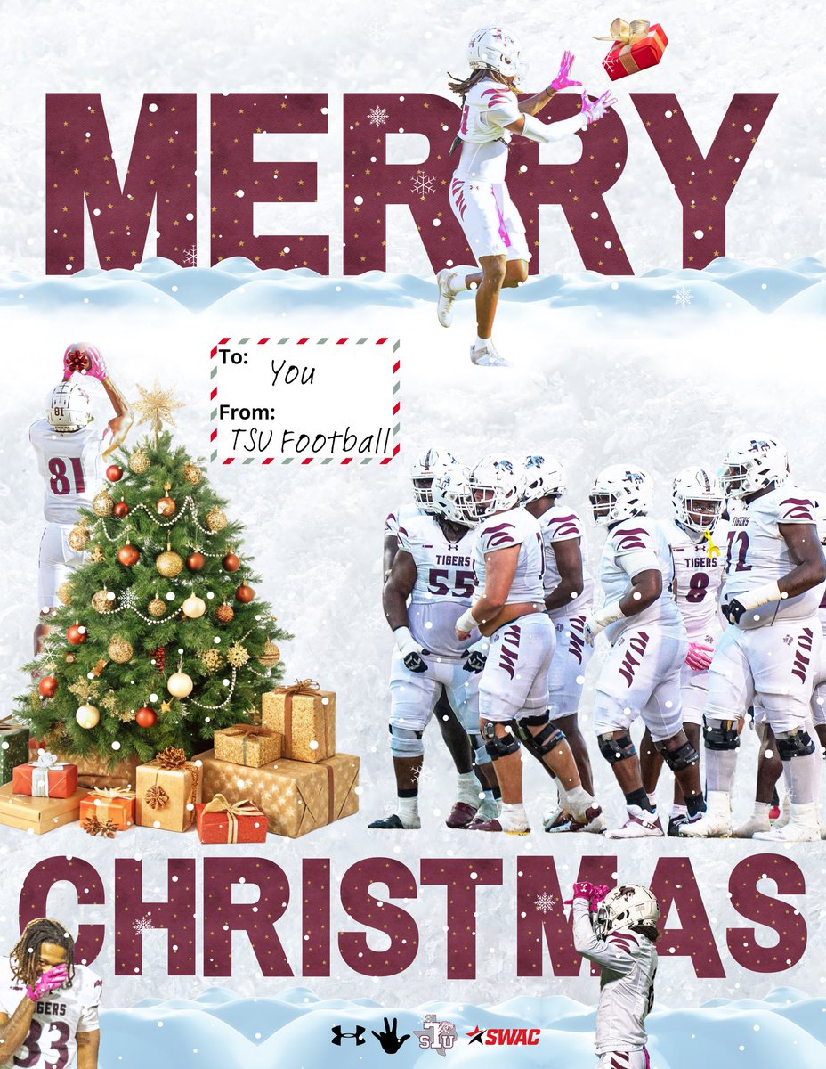 Merry Christmas to All 🐅🐅🐅🎄🎄🎄