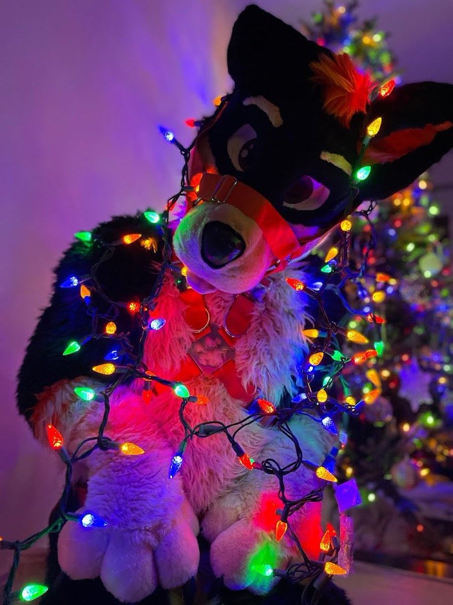 Cyb Gallup 🇨🇦 tweet media