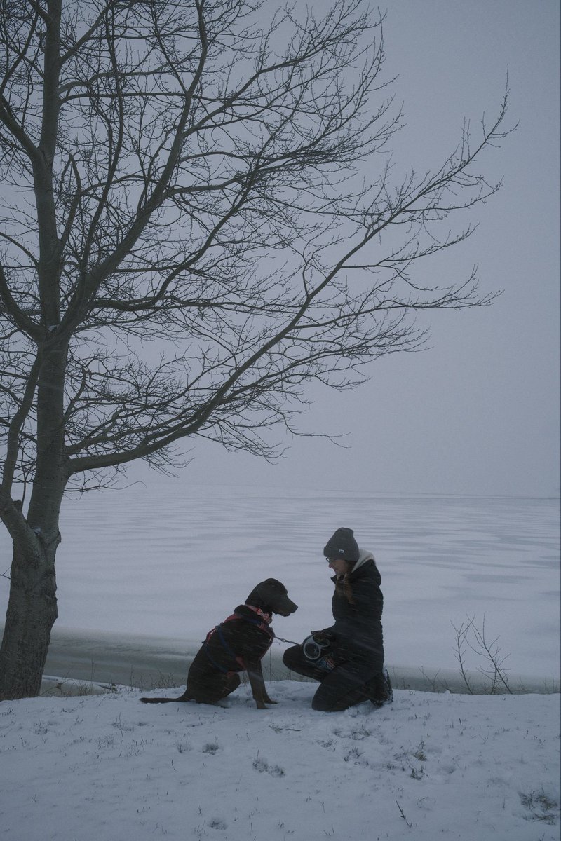 GeminiTay tweet media