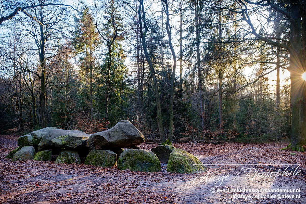 afeye's tweet photo. Dolmen D11 in het Evertsbos tussen #Eext en #Anloo. December 2025. https://t.co/TStyXhOLiQ #fujifilm_xseries https://t.co/z1KenBkTx8