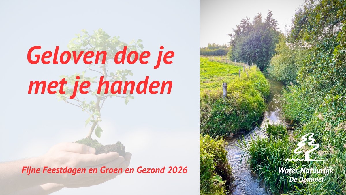 WN de Dommel tweet media