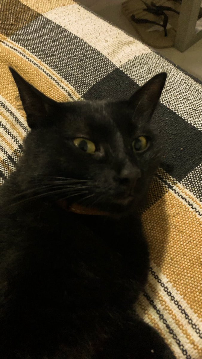 rainirrss's tweet image. amo meu filho ele todo carinhoso cmg nessa manhã natalina