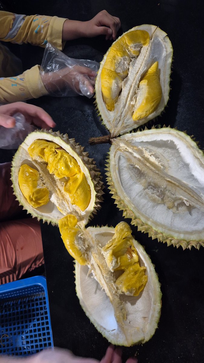 FamilyNFts tweet media