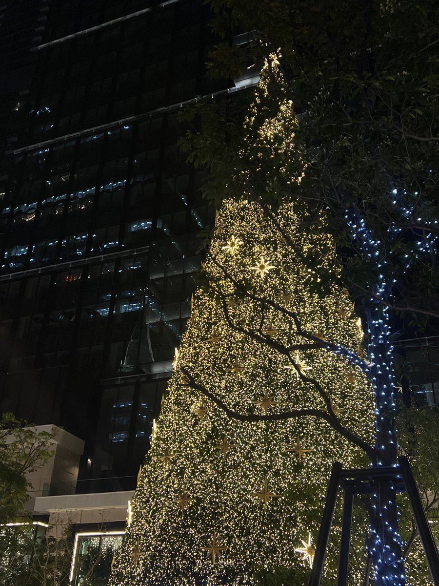 merry merry Christmas ⋆˚◡̈ ☆₊⋆ 🎄