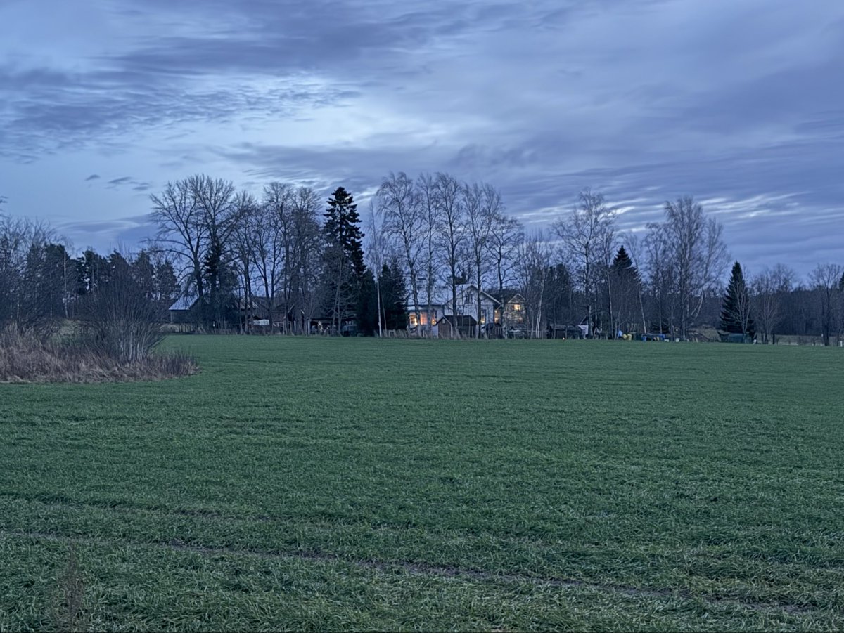 No onkos tullut kesä, nyt talven keskelle? kysyy eräs tästä ohi hölkännyt. Pian meillä kasvavat etelän hedelmäpuut. Tai sitten ei, valoahan ne tarvitsevat.