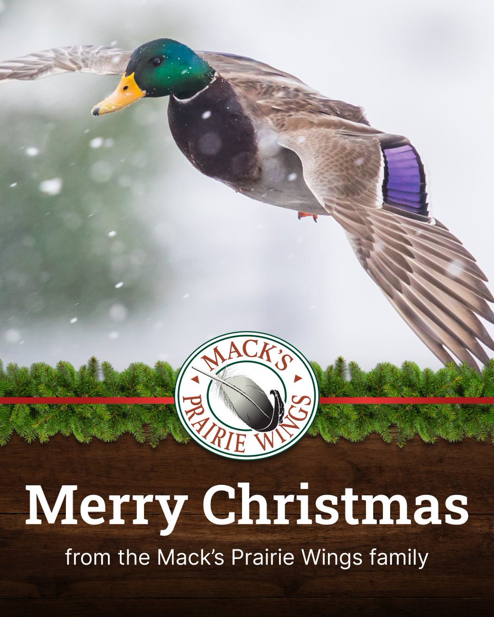 Mack's Prairie Wings tweet media