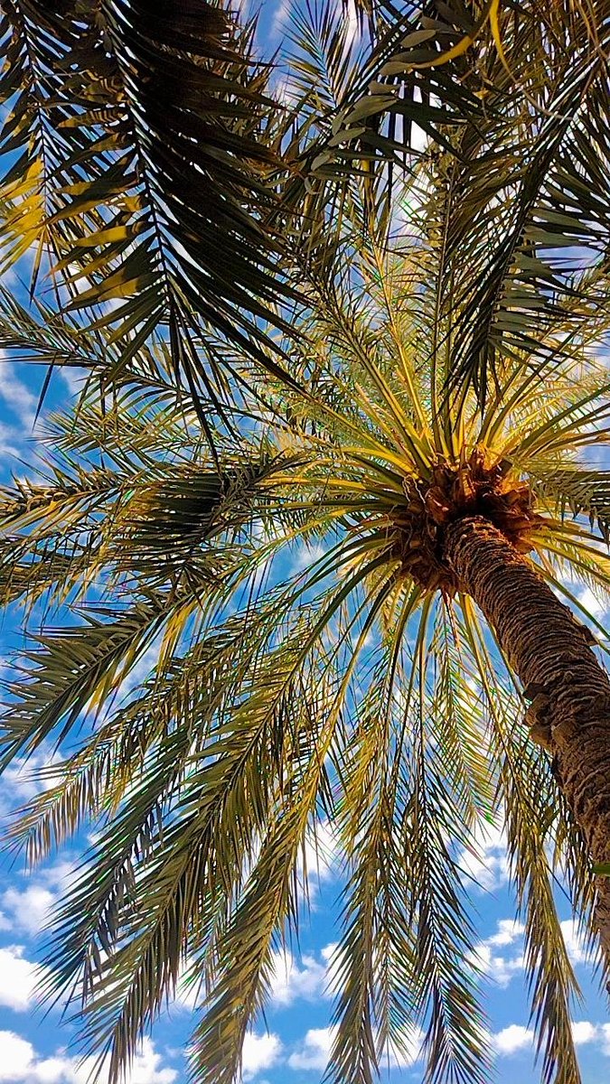 m2o____'s tweet photo. اللهم استرني فوق الأرض و تحت الأرض و يوم العرض ، اللهم ارزقني حسن الخاتمة 🤍☁️✨🤝 https://t.co/5w67Pci8Dr