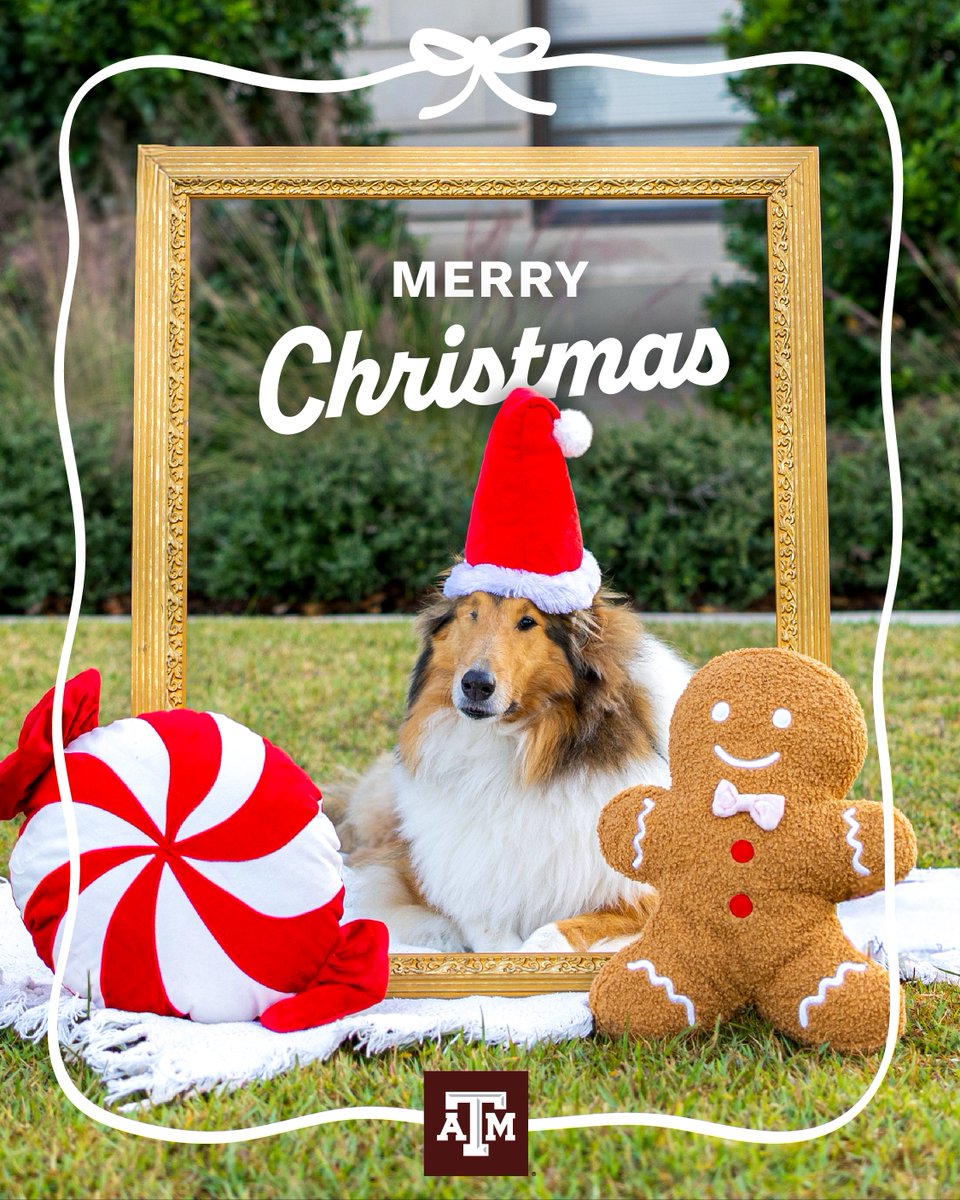 With love, Miss Rev 💌🎄