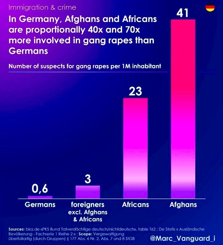 Martin_Sellner's tweet image. Africans and Afghans are proportionally up to 40 times and 70 times more involved in gang rapes in Germany.

With remigration, every single one of these cases could be prevented.