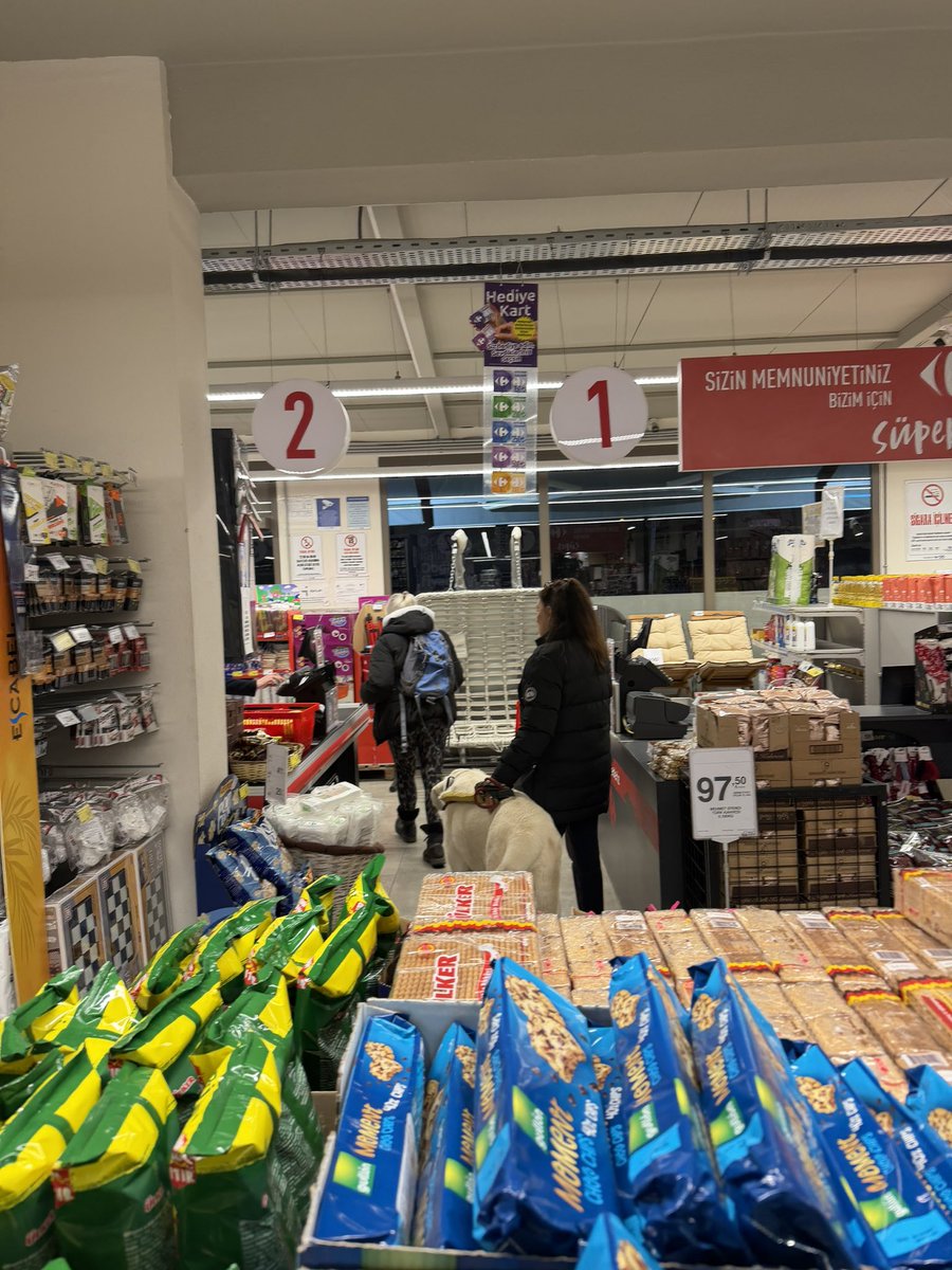 Muğla, Fethiye!

Carrefour şubesinde 23 aralık 2025 saat 17.35'te çekildiği belirtilen görüntü!

Markette köpeğin ne işi var?!

<a href="/tcmuglavaliligi/">Muğla Valiliği</a>
<a href="/idrisakbiyik/">Dr. İdris AKBIYIK</a>