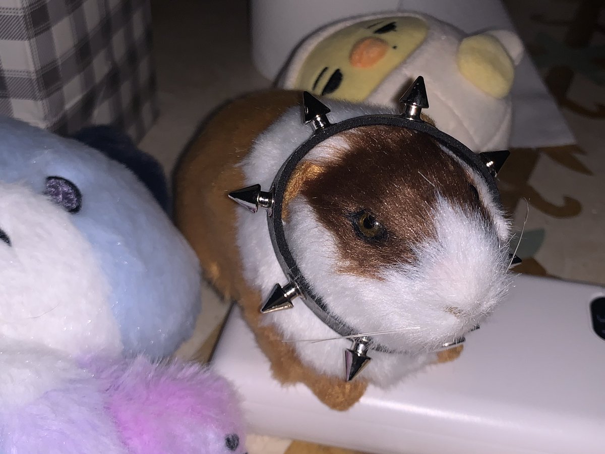 httpsmanducom's tweet image. 꿀때지파티