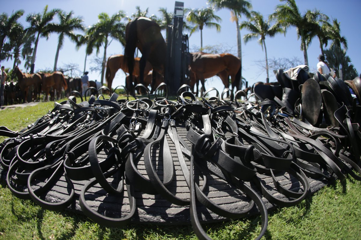 US Polo Association tweet media