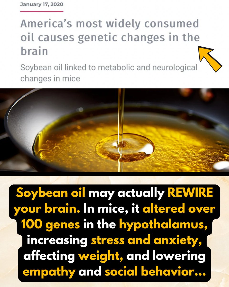 Soybean oil literally rewired over 100 genes in the brain in animal studies. Stress, weight gain, anxiety… all linked. This stuff is not food.

#anxiety #toxicseedoils