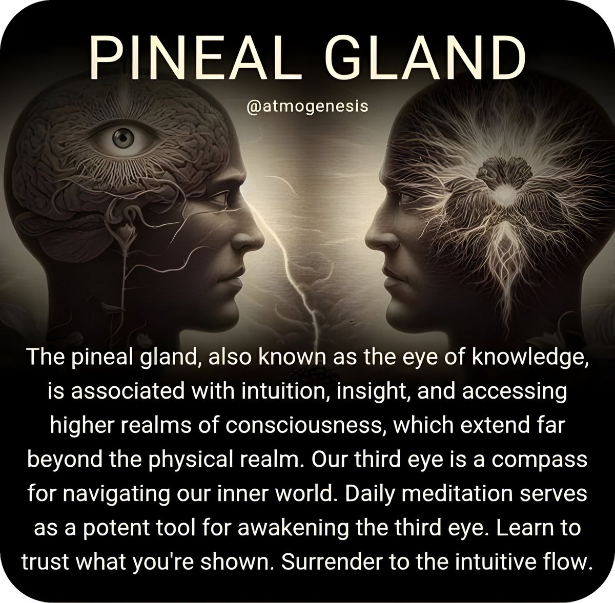 atomicskunk's tweet image. #pinealglandactivation #lightworker #kundaliniawakening #lightbeings #mindseye #pineal #sourceenergy #5d #thirdeye #sacredknowledge #thirdeyeopen #universalconsciousness #higherself #glandulapineal  #pinealvision #cosmicshaman #ascension #5dawakening #ancientwisdom #pinealgland