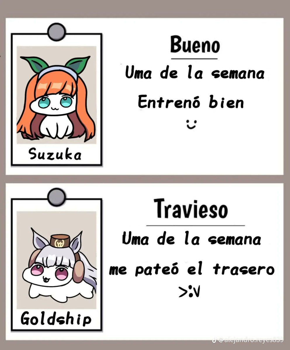 S@eページ♡⃜ Z/X -Zillions of enemy X- アイドル♪スプラッシュフェスタ | TCG