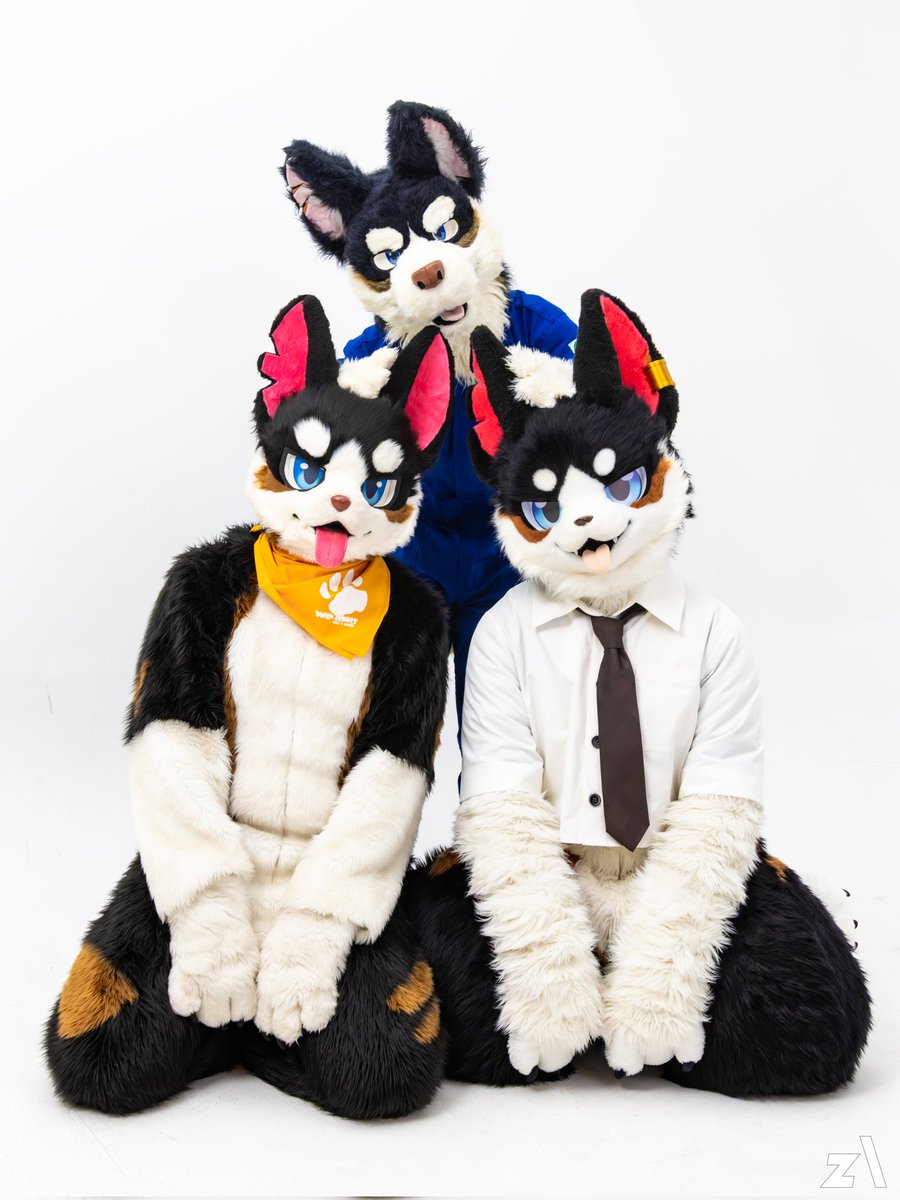 Bobchaaaa's tweet image. #FursuitFriday
#Fursuit
오늘은 쉴드 데뷔 7주년입니다!!
7주년을 맞아 쉴드 가족사진을 찍어 봤어요. 다들 너무 예쁘죠?