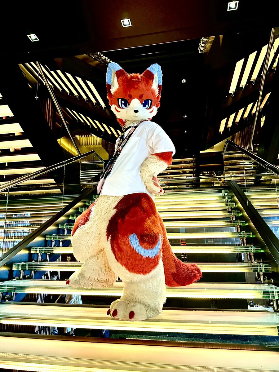 チディ tweet media