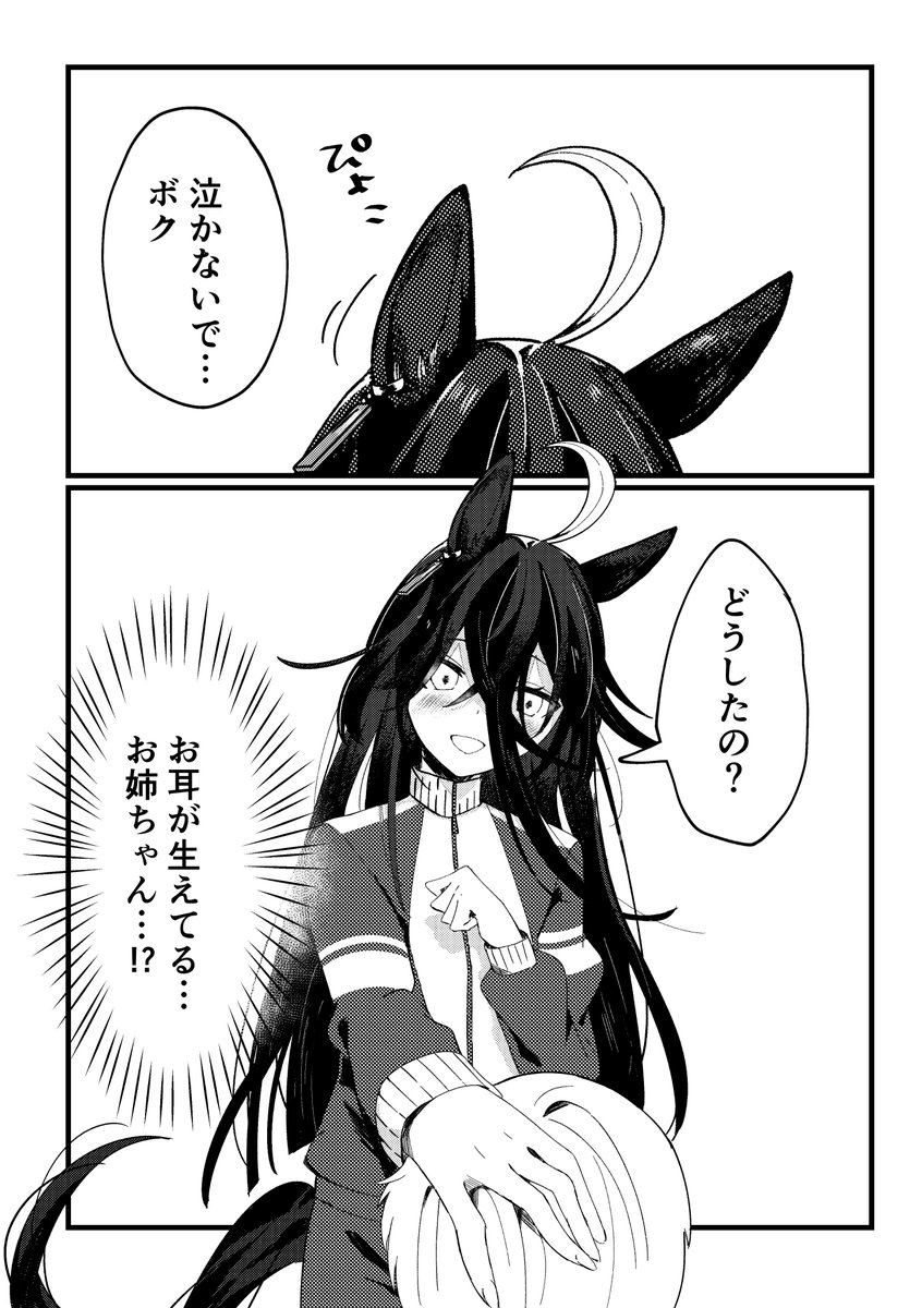 「ウマ娘お姉ちゃん」に憧れるだけ(1/3) 