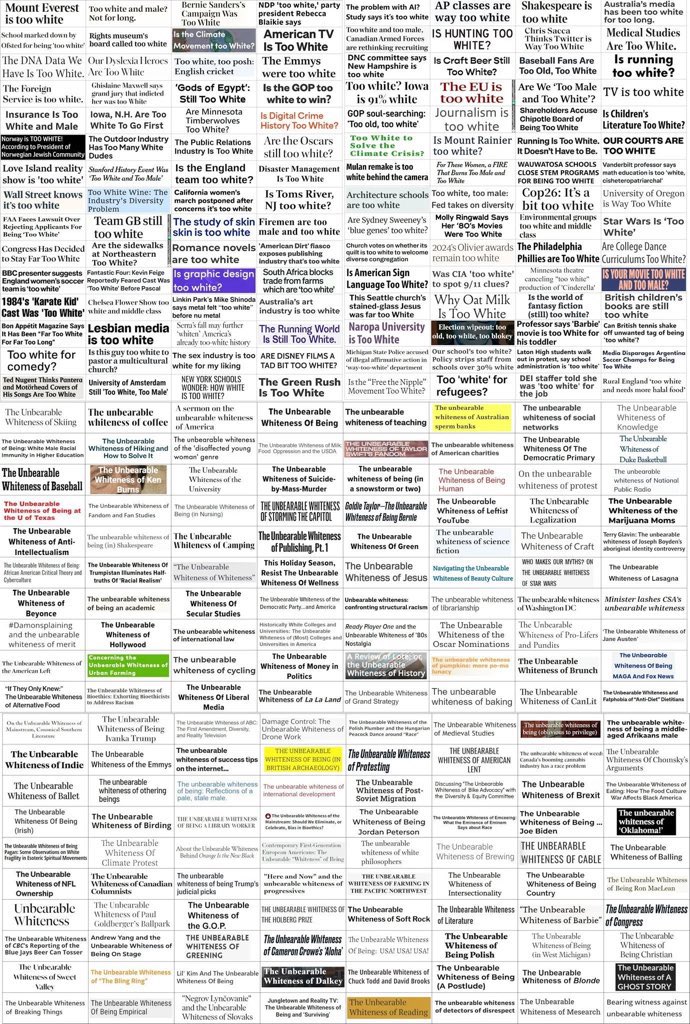 Merry Christmas!

Today is a day of PEAK white excellence.

Remember, they hate us cuz they ain’t us.

Stay white. 😎