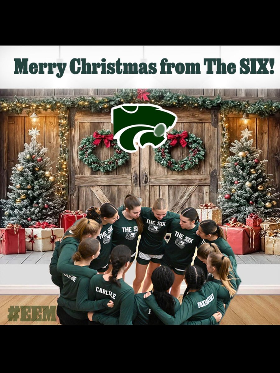 Novi Girls Basketball tweet media