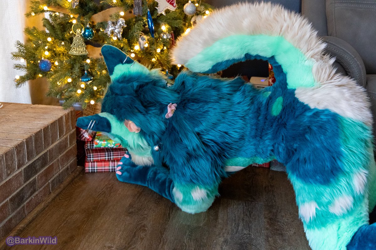 itsSIGNAL's tweet image. Well don’t mind me just gonna…give this one a little shake..

Merry Christmas!!