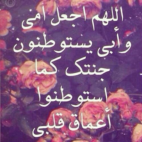 يحيى الملكي 💚💚 tweet media