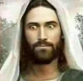 Mere 🇨🇦🐴🇺🇦 tweet media