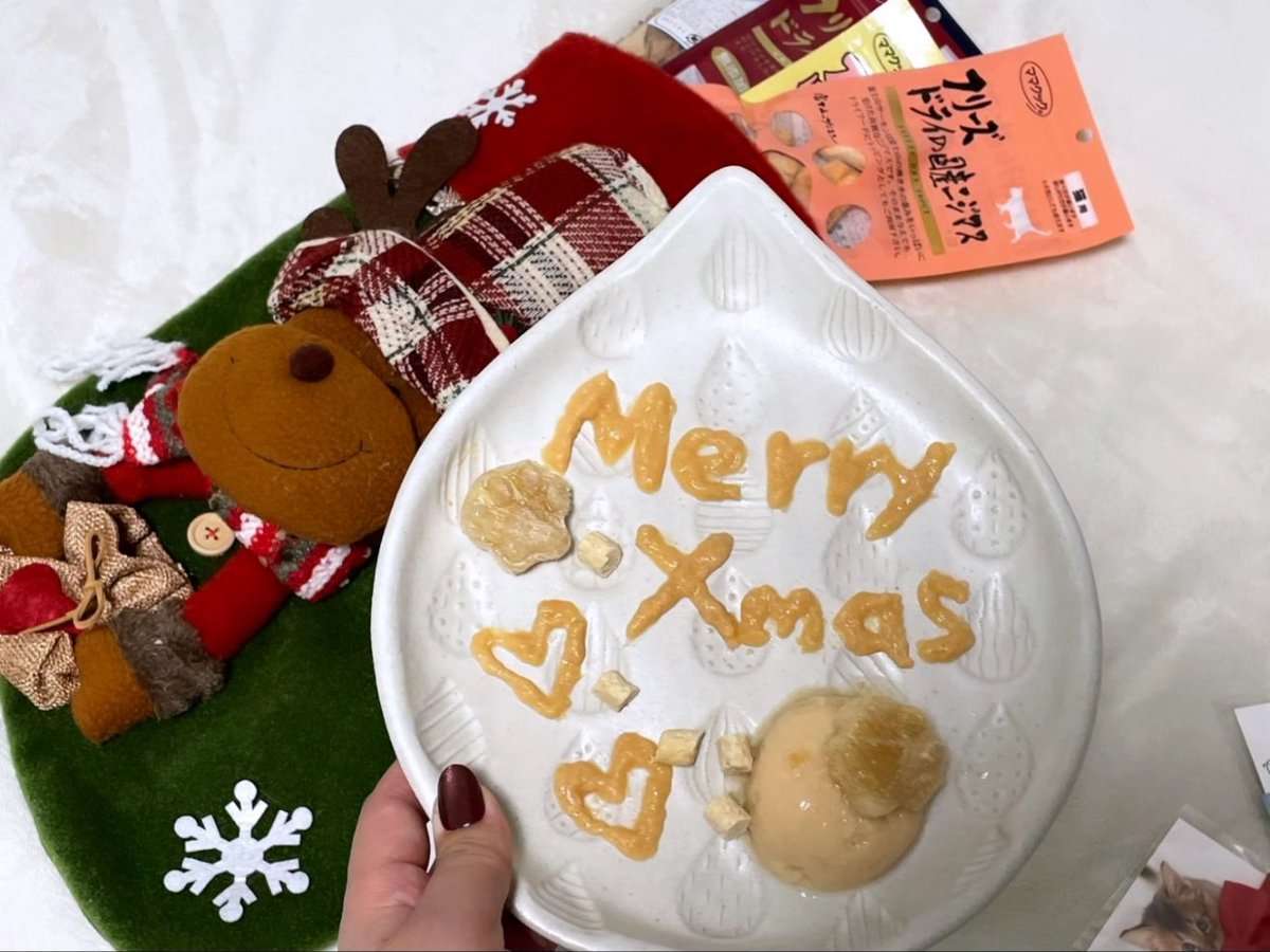 猫へのプレゼントも見てほしい🎁