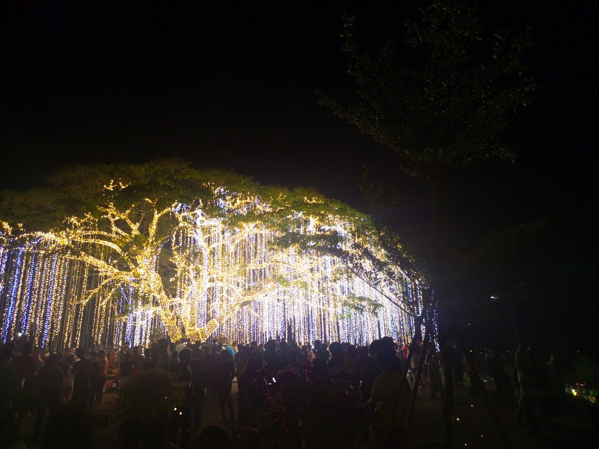 imnoelleholiday's tweet image. //ooo pretty (nobody gaf 💔)