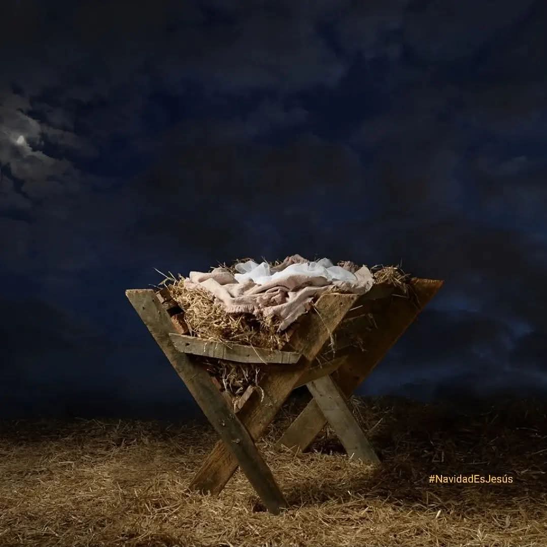 BalleriniOK's tweet photo. Feliz Navidad!! Pero recuerden que #NavidadesJesus no Papá Noel. Navidad es nacimiento, no aborto. Es vida, no muerte. Es esperanza, no genocidio. Por favor, todos recuerden esto, especialmente Diputados y Senadores. #ArgentinaEsProvida Por la derogación de la perversa y nefasta Ley de Aborto.
