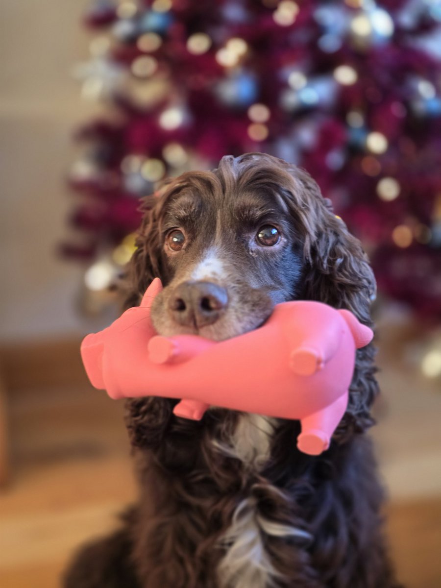 Biker Rae tweet media