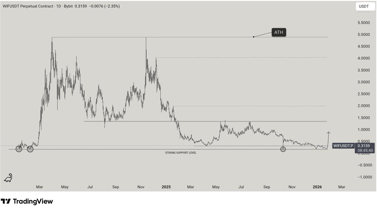 WOLF x VISION tweet media