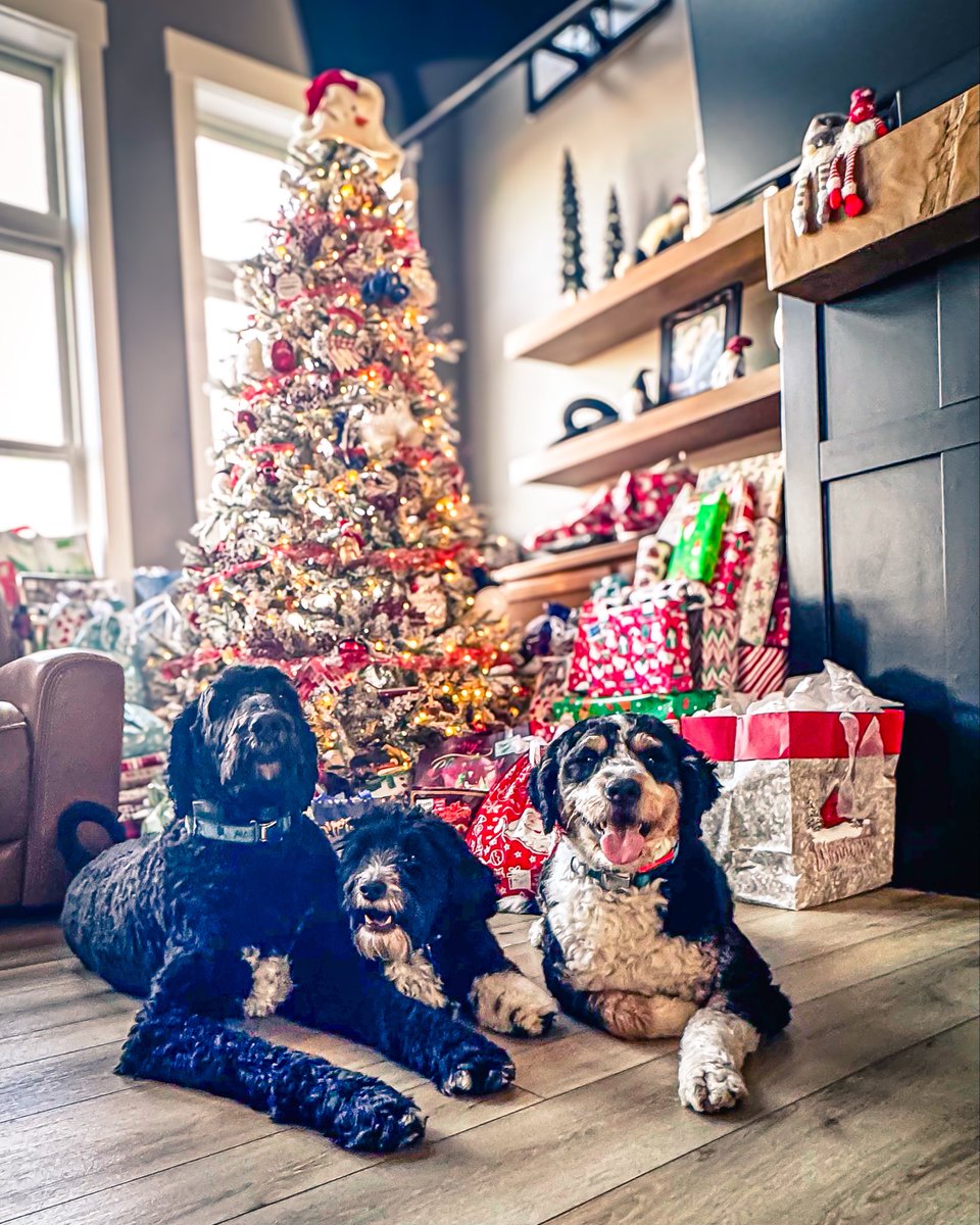 RasconWayne's tweet photo. Merry Christmas 🎄 https://t.co/KNJtaHIMYR