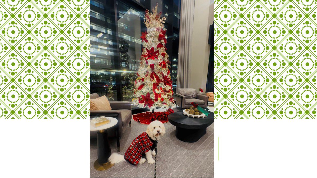 NeeraGuptaMD's tweet photo. Happy Holidays!! 🎊🎊
❤️#Niko❤️ #HeartDog #SoulDog https://t.co/9LdAPycZYa