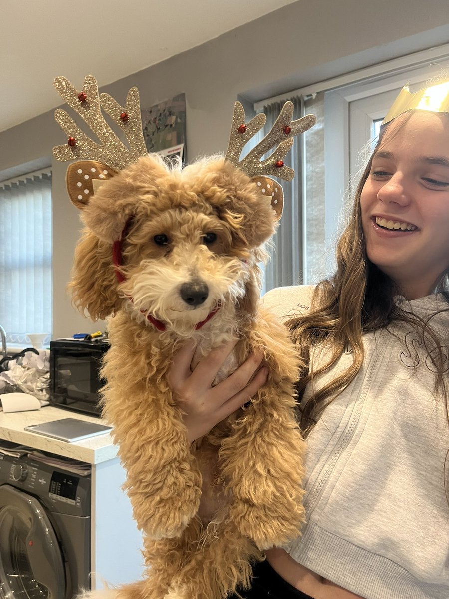 Kellarooo's tweet image. Merry Christmas everyone!❤️