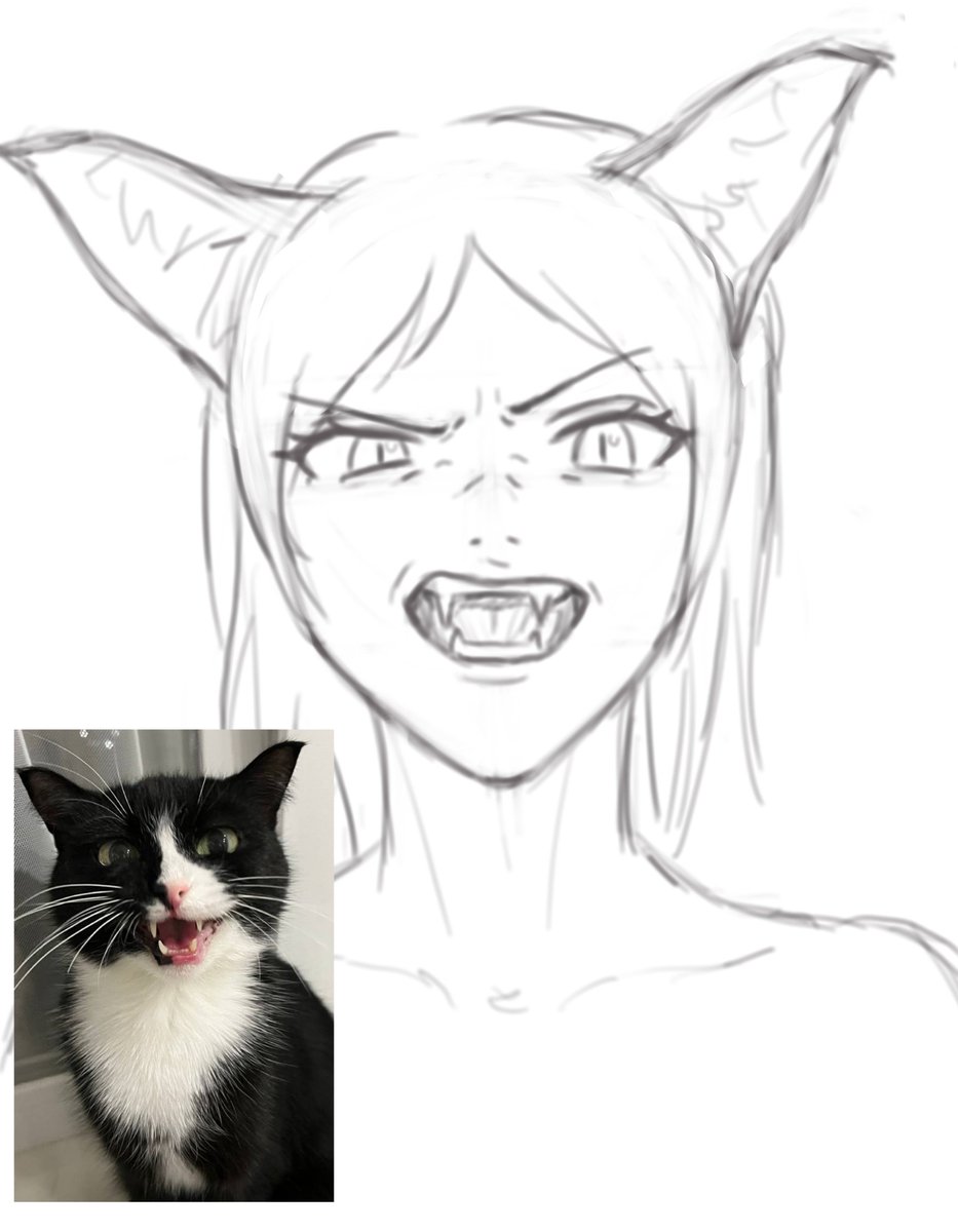 aveloriii's tweet photo. #art #sketches #sketchart #digitalart #digitaldrawing #drawing #Cat #catgirl #humanization #Animal https://t.co/1vZnc04J4E