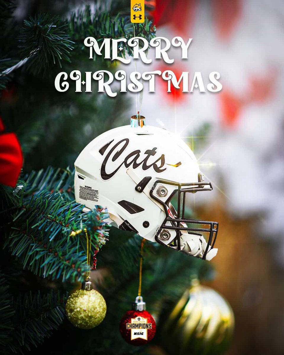Thanks for the graphic <a href="/_CoachTJohnson_/">Tanner Johnson</a> Merry Christmas!