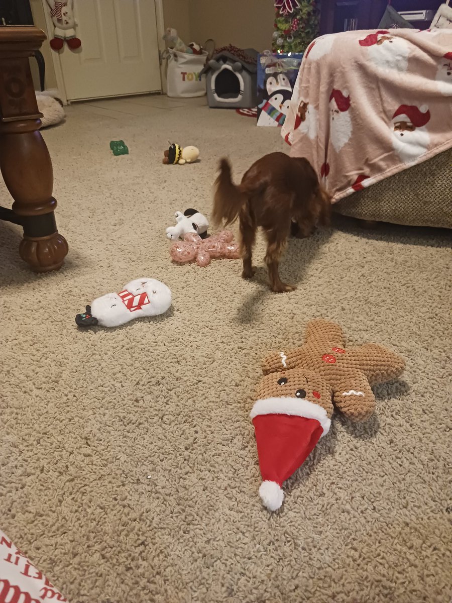 Merry Christmas to one and all! Santa came to our house, bringing Lily Mae lots of things for her first Christmas! 😀🎅🌲