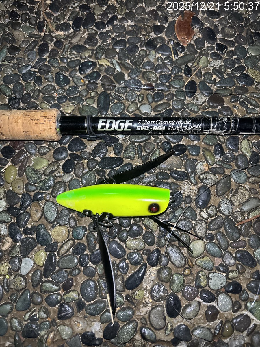 山ちゃんさま専用 マサさん専用 masa様 masaさま専用 MASA様の専用 ZX｜製品紹介｜YASAKA株式