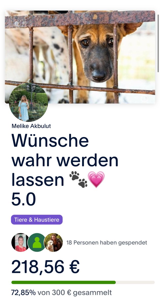 cheynooo's tweet image. Jedes Jahr sammle ich Spenden für Straßentiere in der Türkei 🐾
Dieses Jahr teile ich, durch meinen Verlust, den Aufruf hier etwas später.. 
Ziel ist es, den Tieren in der Weihnachtszeit eine kleine Freude zu bereiten 💗
Danke für jede Unterstützung 🫂
paypal.com/pools/c/9kTrJC…