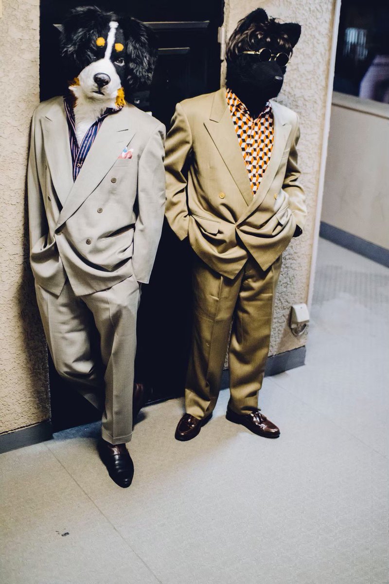 lobo // :▆▆▆ tweet media