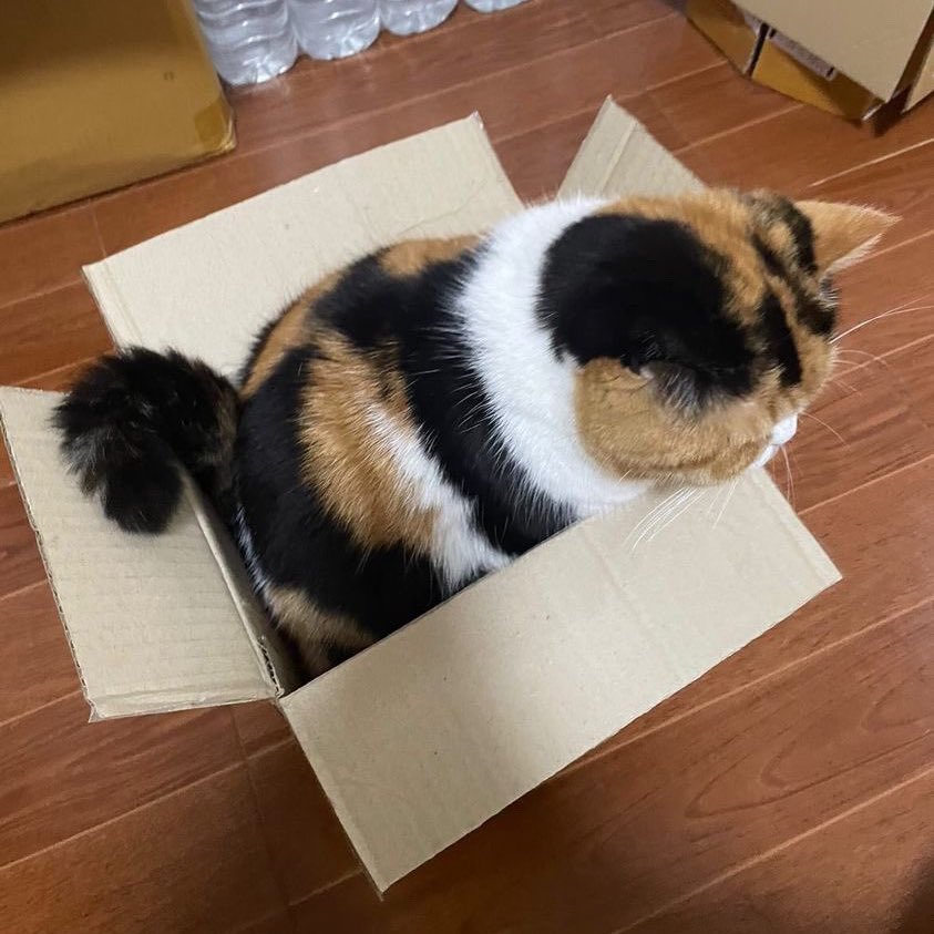 <a href="/mirumibkk/">chi</a> พัสดุค่อนข้างโตไวนะคะ